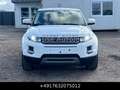 Land Rover Range Rover Evoque Pure SD4 Led Meridian Weiß - thumbnail 4