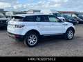 Land Rover Range Rover Evoque Pure SD4 Led Meridian Wit - thumbnail 8