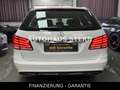 Mercedes-Benz E 200 T CGI LED 8xReifen Tempomat Avantgarde White - thumbnail 9