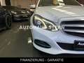 Mercedes-Benz E 200 T CGI LED 8xReifen Tempomat Avantgarde White - thumbnail 4