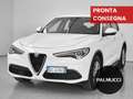 Alfa Romeo Stelvio 2.2 Turbodiesel 190 CV AT8 Q4 Business - thumbnail 1