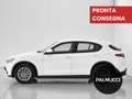 Alfa Romeo Stelvio 2.2 Turbodiesel 190 CV AT8 Q4 Business - thumbnail 4