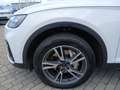 Audi Q5 45 TFSI advanced quattro S-tronic LED Nai AVC 19" Weiß - thumbnail 12