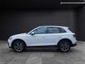 Audi Q5 45 TFSI advanced quattro S-tronic LED Nai AVC 19" Weiß - thumbnail 4