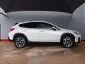 Subaru XV XV  2.0 156 cv eyesight exclusive Weiß - thumbnail 22