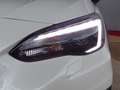 Subaru XV XV  2.0 156 cv eyesight exclusive Weiß - thumbnail 5