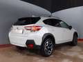 Subaru XV XV  2.0 156 cv eyesight exclusive Weiß - thumbnail 20