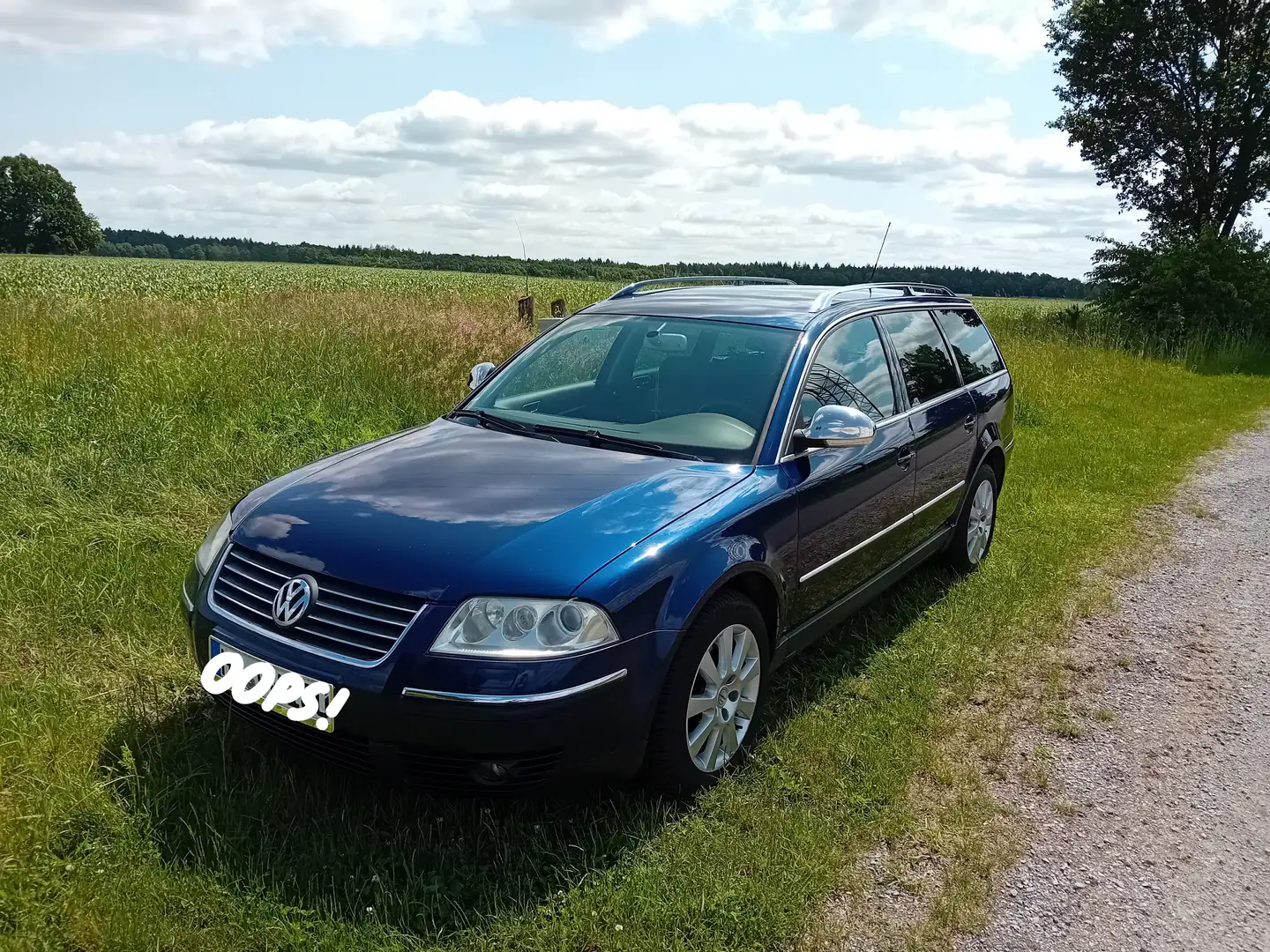 Volkswagen Passat Variant Passat Variant 2.5 TDI V6 180 4Motion Comfortline Azul - 1