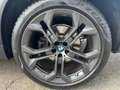 BMW X5 xDrive 30 d xLine Pano Vollleder Acc Vollvirtuell Bleu - thumbnail 10
