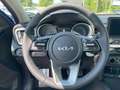 Kia Ceed / cee'd ceed 1,5 TGDI Silber + P2 Blau - thumbnail 10