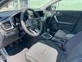 Kia Ceed / cee'd ceed 1,5 TGDI Silber + P2 Blau - thumbnail 6