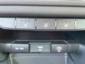 Kia Ceed / cee'd ceed 1,5 TGDI Silber + P2 Blau - thumbnail 18