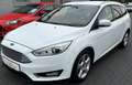 Ford Focus Turnier Titanium Bi-Xeon|Navi|Teillleder Blanc - thumbnail 3