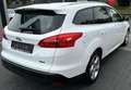 Ford Focus Turnier Titanium Bi-Xeon|Navi|Teillleder Blanc - thumbnail 6