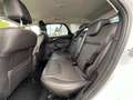 Ford Focus Turnier Titanium Bi-Xeon|Navi|Teillleder Blanc - thumbnail 12