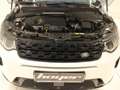 Land Rover Discovery Sport D180 HSE Head-Up DAB Klimaaut. Weiß - thumbnail 17