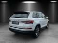 Skoda Kodiaq 2.0 TDI Tour 4x4 DSG/AHK/KAMERA/ACC/LED/ Weiß - thumbnail 5
