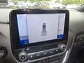 Ford Puma Hybrid 125PS Autm. ST-Line X Navi B&O Blau - thumbnail 20