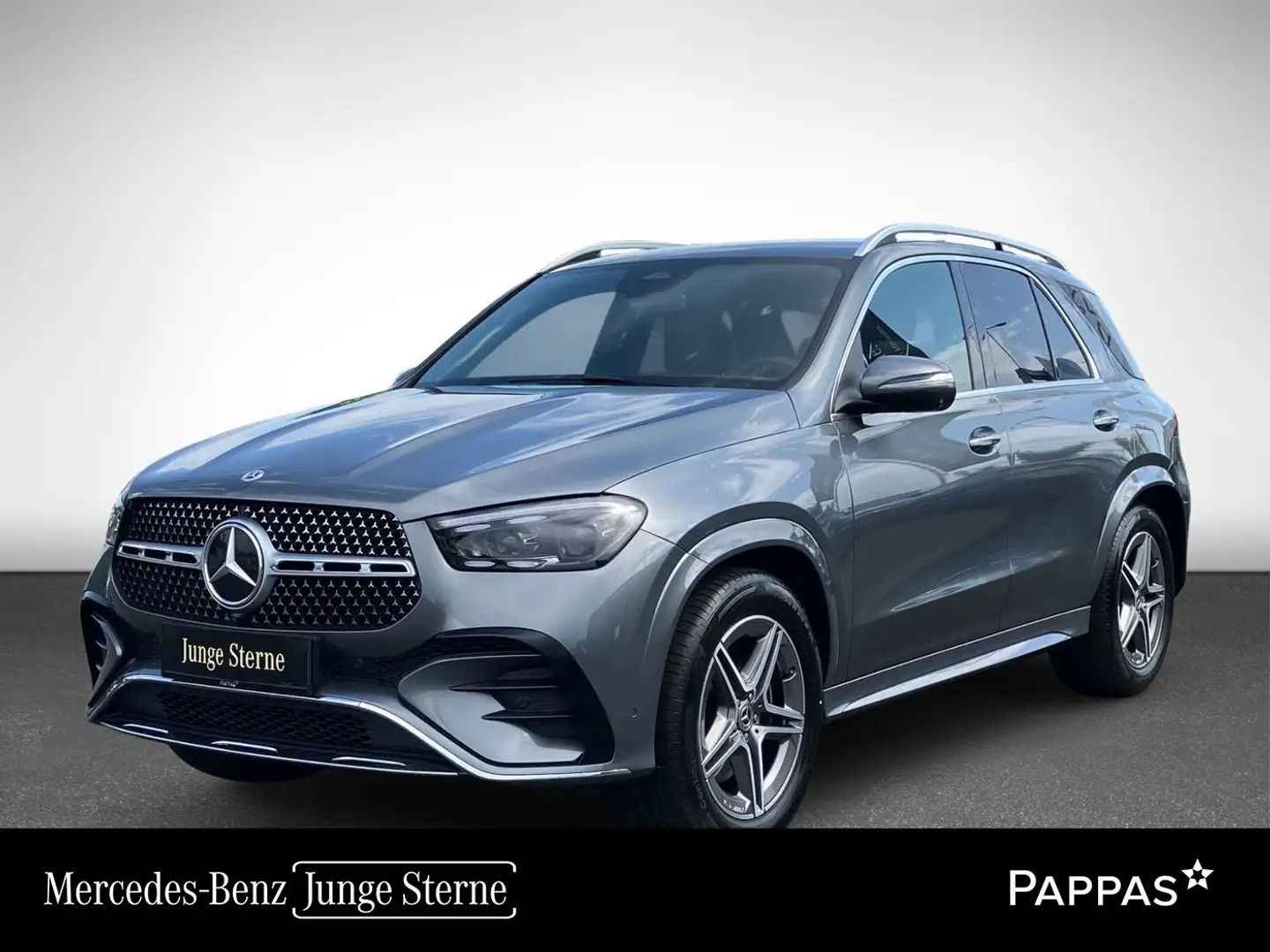 Mercedes-Benz GLE 300 d 4MATIC Navi Airm SHZ EASY-PACK Grau - 1