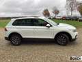 Volkswagen Tiguan 2.0 TDI Life DSG AKH RFK ACC PanoDach SHZ Weiß - thumbnail 5