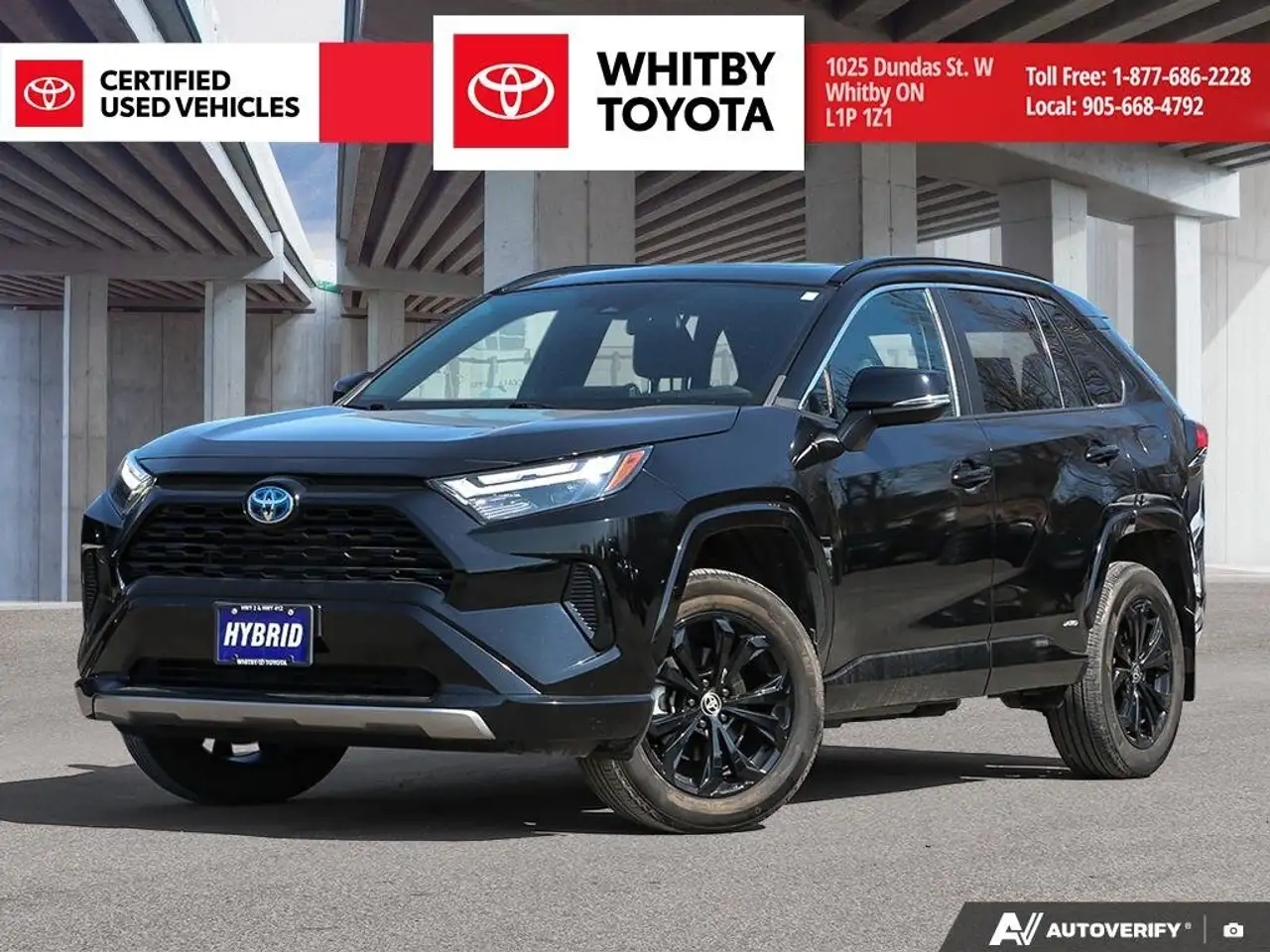 2023 Toyota RAV 4