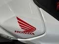 Honda Hornet cb 750 Bianco - thumbnail 5