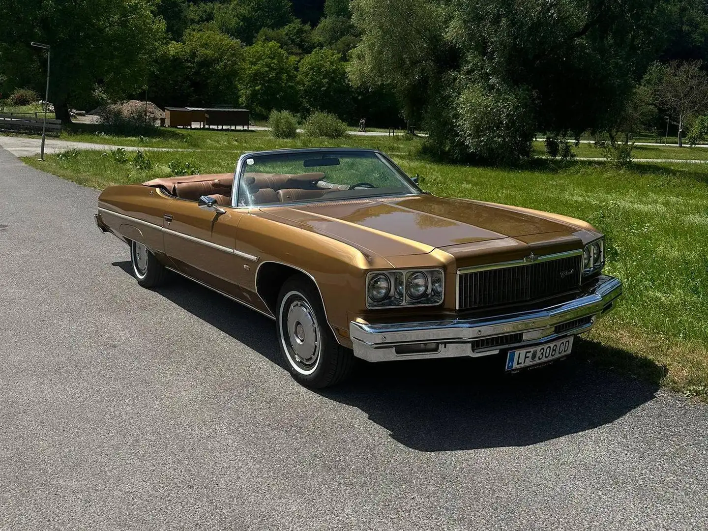Chevrolet Caprice Braun - 1
