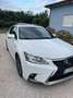 Lexus CT 200h CT 200h 1.8 F-Sport (style) cvt Blanc - thumbnail 14