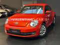 Volkswagen Beetle Lim. Design Multi/Temp/PDC/Shz/Led/Apple Orange - thumbnail 9