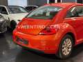 Volkswagen Beetle Lim. Design Multi/Temp/PDC/Shz/Led/Apple Orange - thumbnail 29