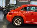 Volkswagen Beetle Lim. Design Multi/Temp/PDC/Shz/Led/Apple Orange - thumbnail 30