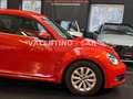 Volkswagen Beetle Lim. Design Multi/Temp/PDC/Shz/Led/Apple Orange - thumbnail 31