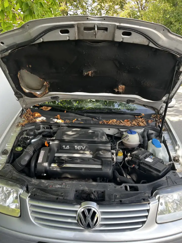 Volkswagen Polo automatischer Polo 2001, foto 11