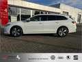 Volkswagen Passat Variant 2.0 TDI Business CarPlay AHK mit Asst*Massage*360° Weiß - thumbnail 9