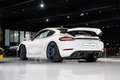 Porsche 718 GT4 RS*CLUBSPORT*CARBON-INT*LIFT*1HD* Alb - thumbnail 14