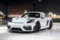 Porsche 718 GT4 RS*CLUBSPORT*CARBON-INT*LIFT*1HD* Alb - thumbnail 7