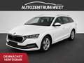 Skoda Octavia Combi 2,0 TDI Style...AHK/Matrix/NAVI Weiß - thumbnail 1
