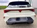 CUPRA Leon Basis 1.5 TSI 150PS 6-Gang, 5 Jahre Garantie, A... Blau - thumbnail 24