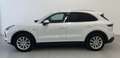 Porsche Cayenne E-Hybrid Aut. Blanco - thumbnail 9