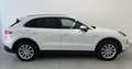 Porsche Cayenne E-Hybrid Aut. Blanco - thumbnail 8