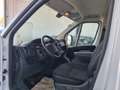 Peugeot Boxer 33+ L3H2 HDi 140 S&S Premium - Topzustand! Weiß - thumbnail 13