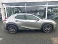 Lexus UX 250h Executive Line Grau - thumbnail 6