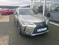 Lexus UX 250h Executive Line Grau - thumbnail 3
