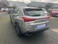 Lexus UX 250h Executive Line Grau - thumbnail 5