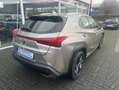 Lexus UX 250h Executive Line Grau - thumbnail 4