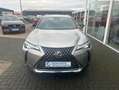 Lexus UX 250h Executive Line Grau - thumbnail 8