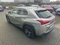 Lexus UX 250h Executive Line Grau - thumbnail 7