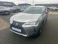 Lexus UX 250h Executive Line Grau - thumbnail 2