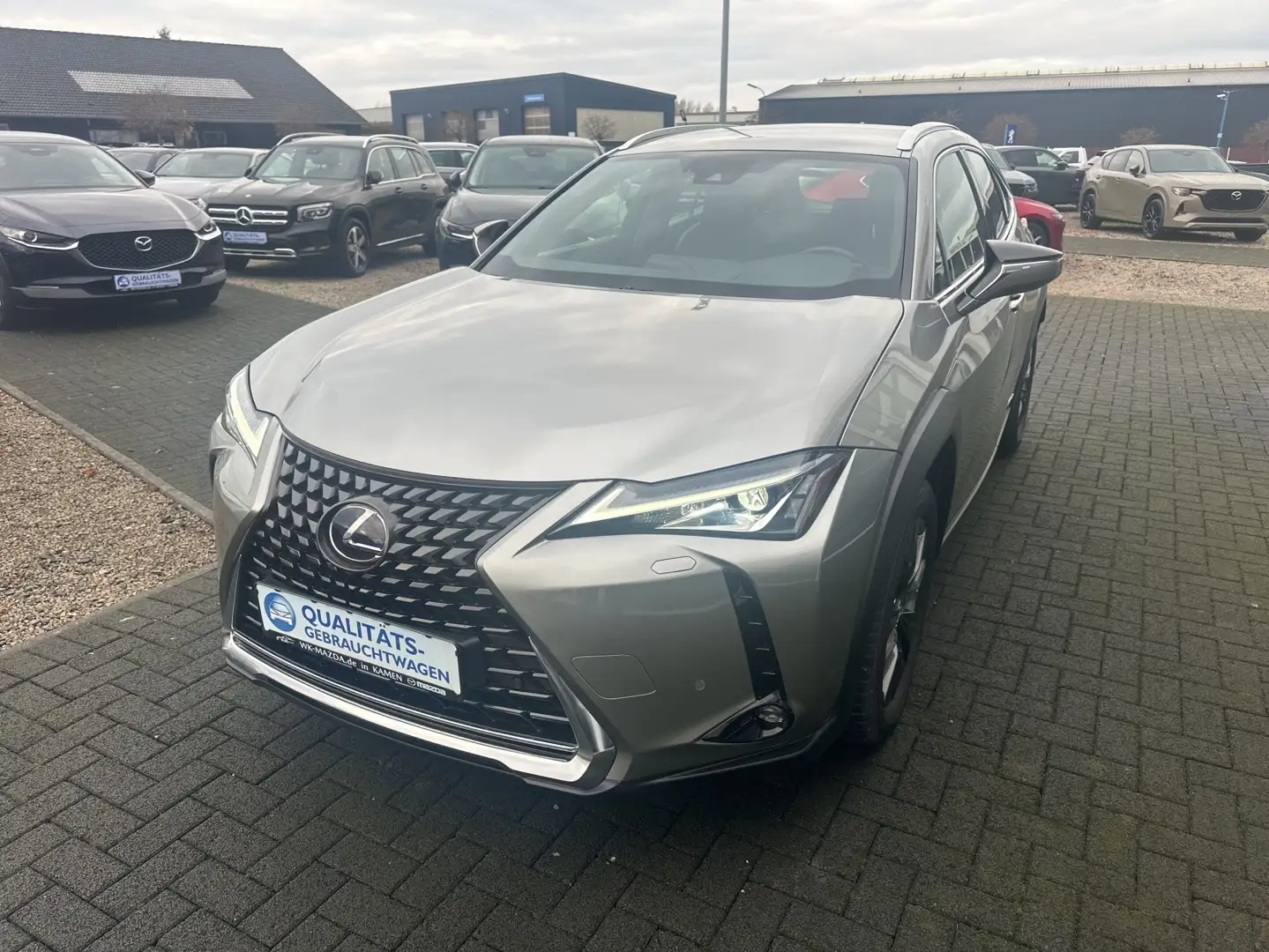 Lexus UX 250h Executive Line Grau - 2