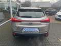 Lexus UX 250h Executive Line Grau - thumbnail 9